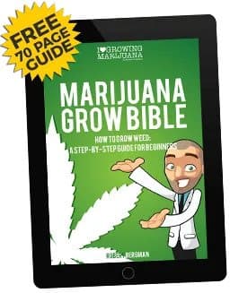 Growing marijuana bible