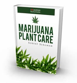Complete cannabis plant take care guide. Download now for free!